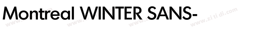 Montreal WINTER SANS字体转换
